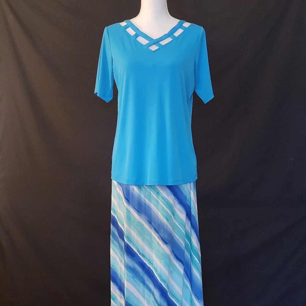 Susan Graver Skirt and Blouse